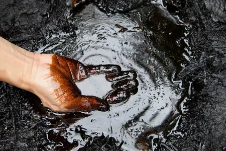 Crude palm oil