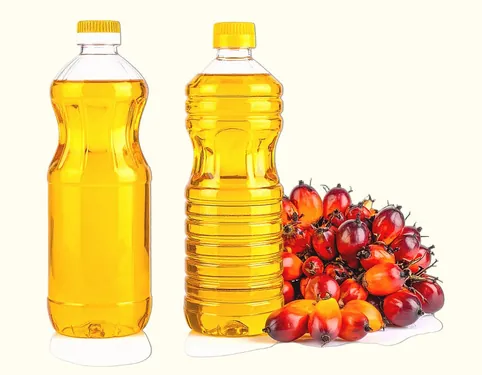 Palm olein cooking oil bottles with palm fruit